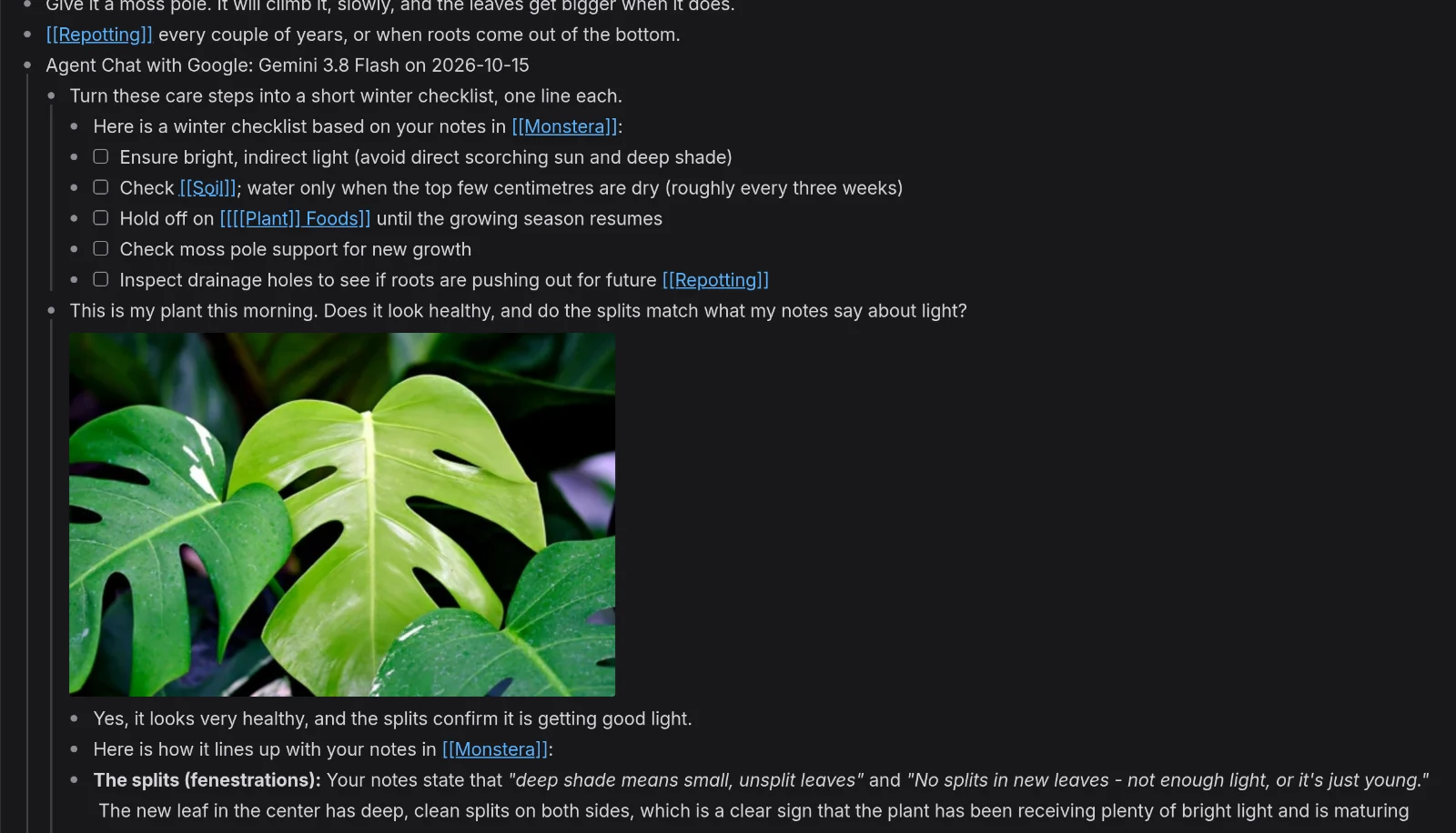 The saved chat in the Monstera page: the chat's bullet, both questions, the checklist as tasks, the photo and the answer